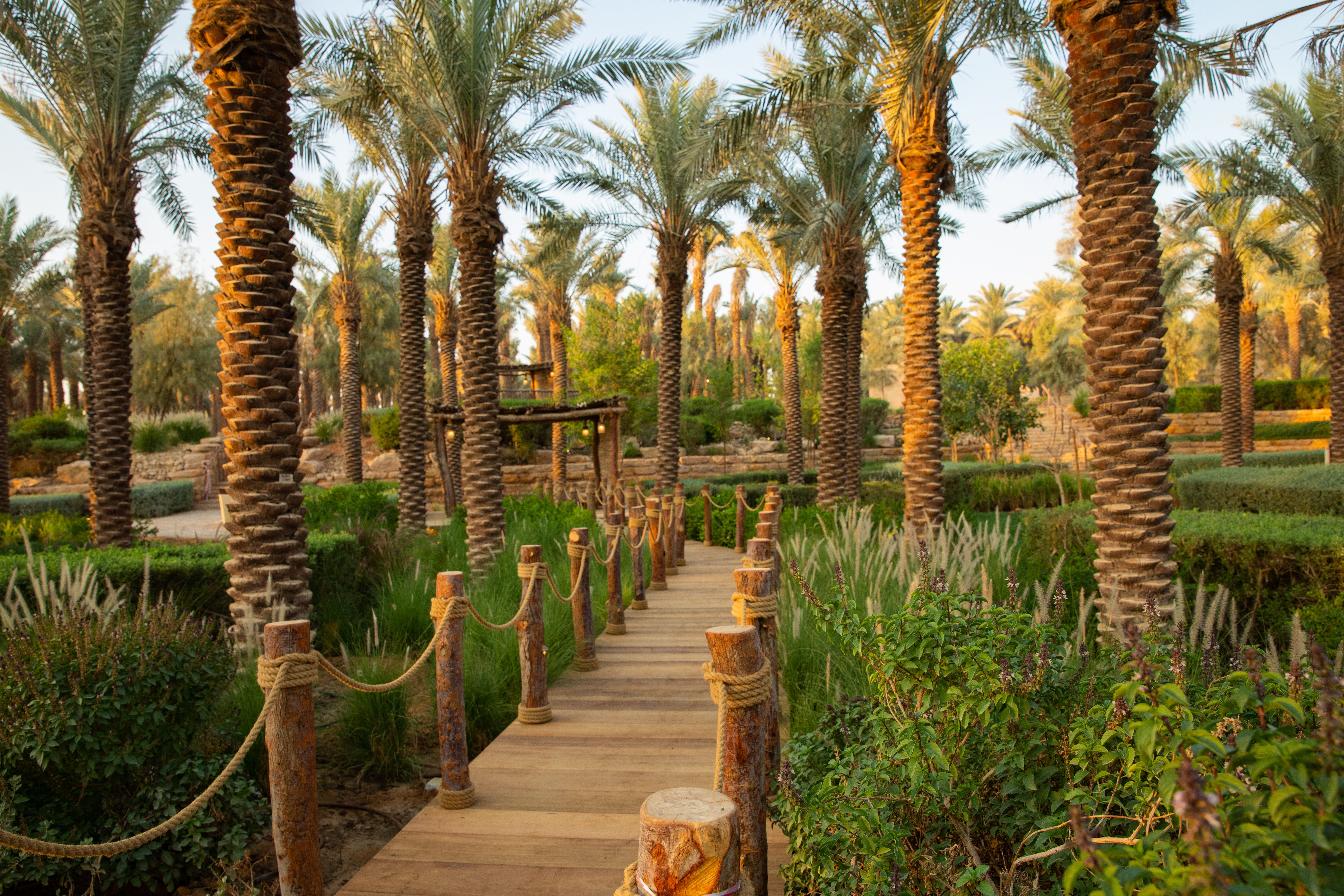 منطقة الطوالع