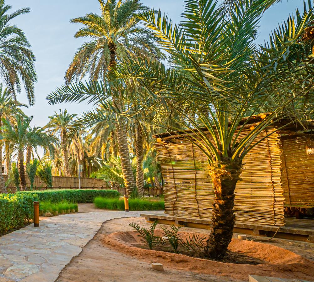 تجربة مسار شروق الشمس